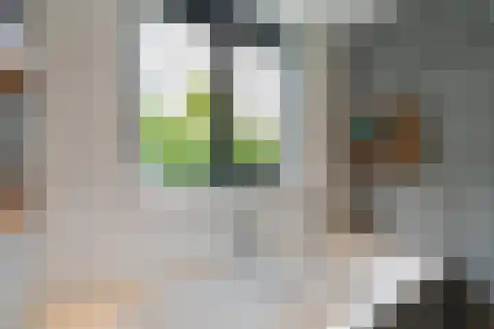 Franklinhage 7 Emmeloord thumbnail 43