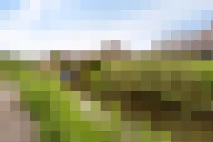 Franklinhage 7 Emmeloord thumbnail 5