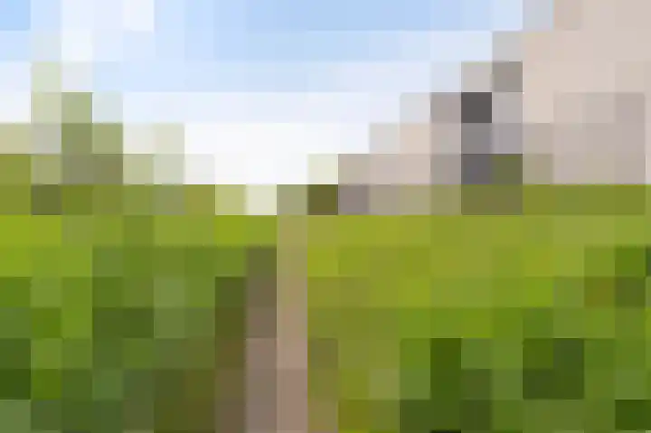 Franklinhage 7 Emmeloord thumbnail 51