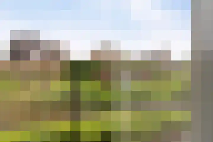 Franklinhage 7 Emmeloord thumbnail 52