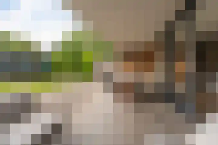 Franklinhage 7 Emmeloord thumbnail 56