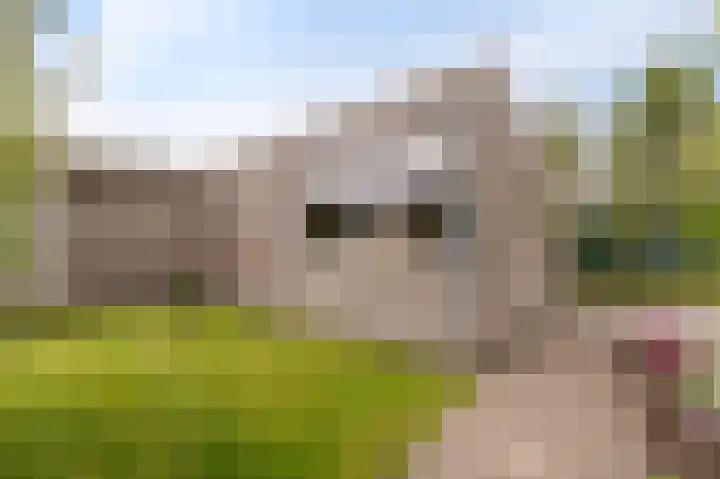 Franklinhage 7 Emmeloord thumbnail 62