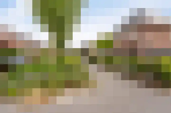 Franklinhage 7 Emmeloord thumbnail 67