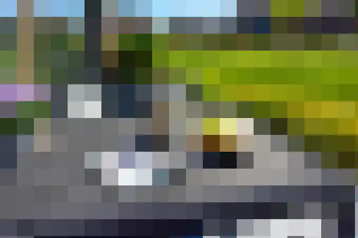 Franklinstraat 103 Badhoevedorp thumbnail 27