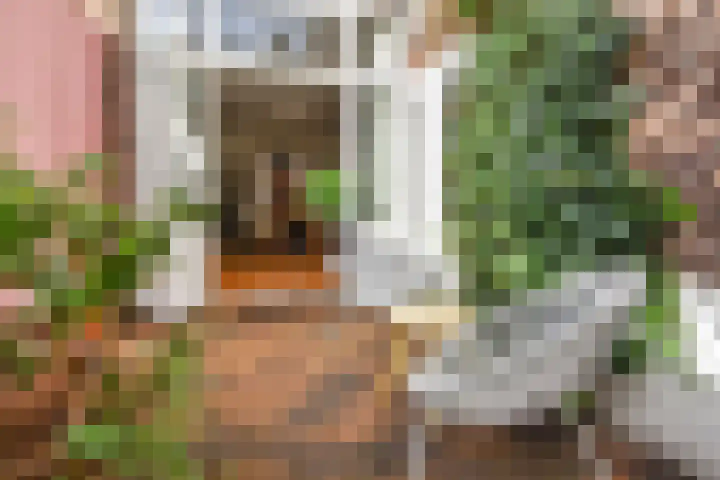 Franklinstraat 109 Den Haag thumbnail 23