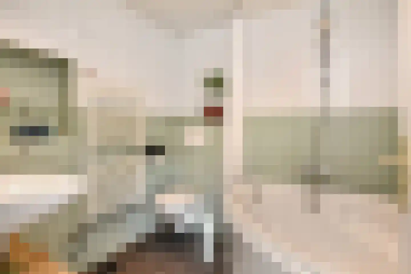 Franklinstraat 109 Den Haag thumbnail 29