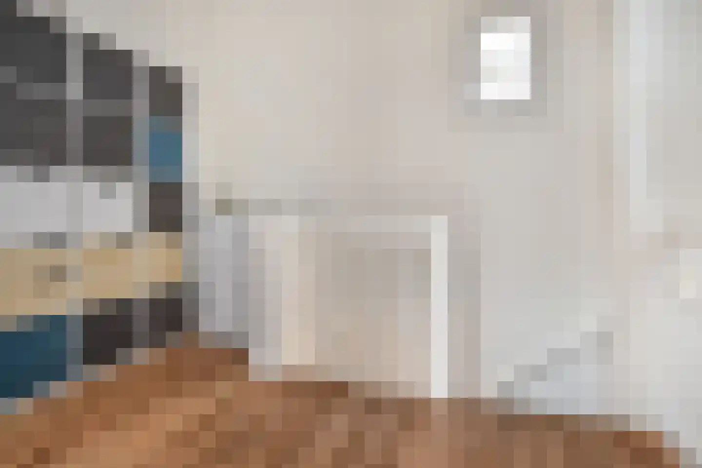 Franklinstraat 109 Den Haag thumbnail 33
