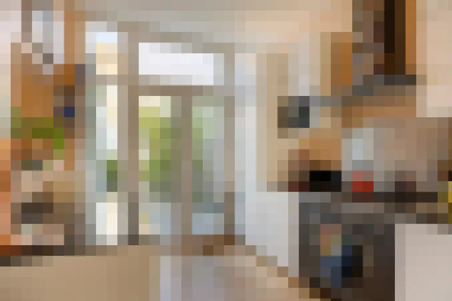 Franklinstraat 161 Den Haag thumbnail 6
