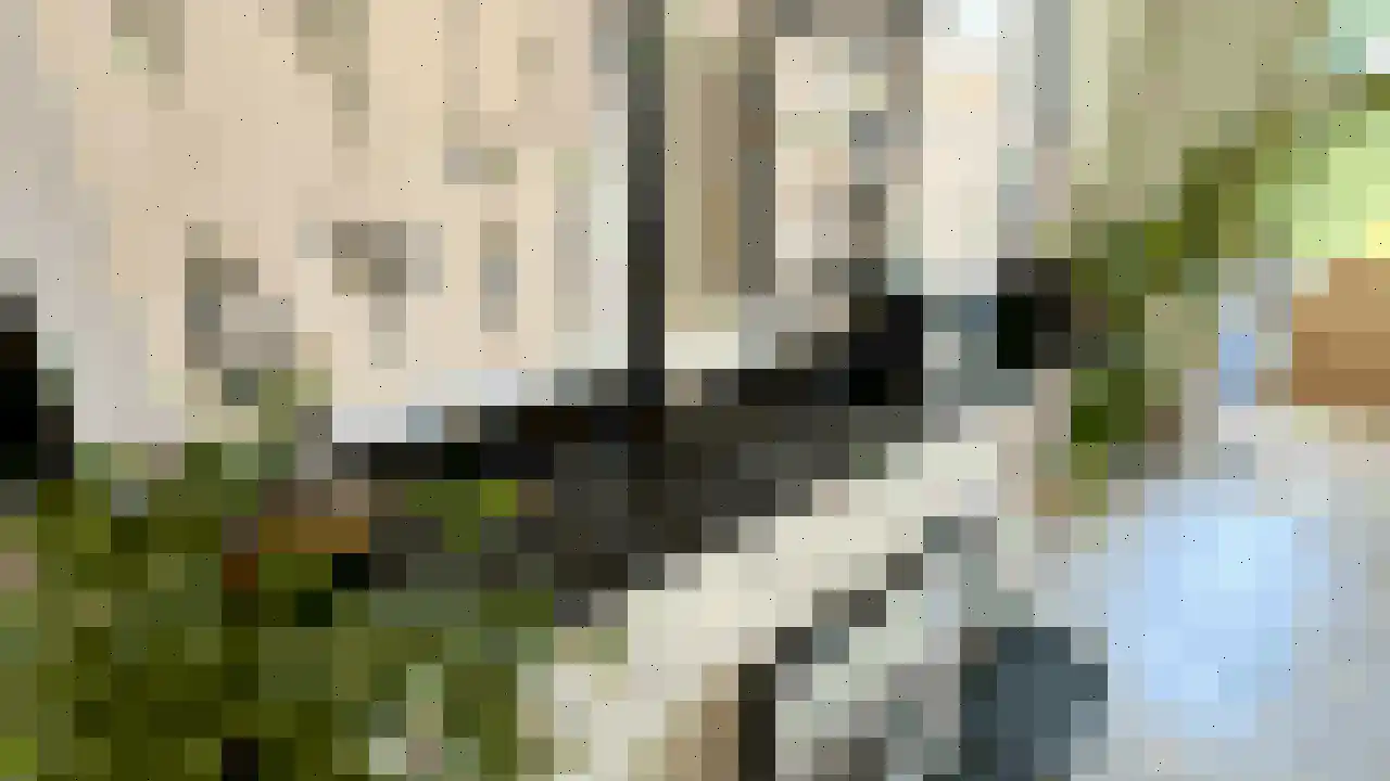 Franklinstraat 165 Den Haag thumbnail 5