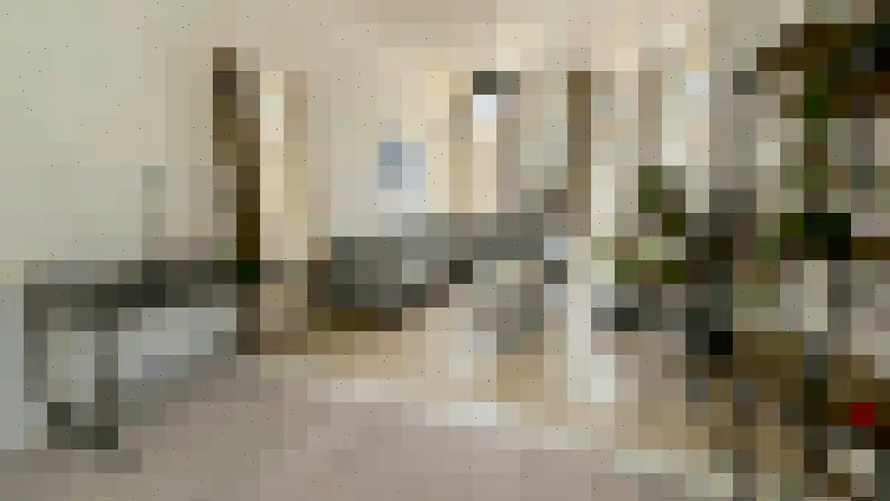 Franklinstraat 165 Den Haag thumbnail 7