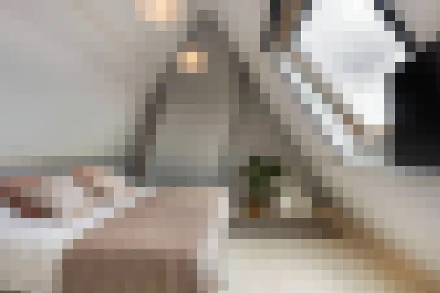 Franklinstraat 19 Amersfoort thumbnail 30