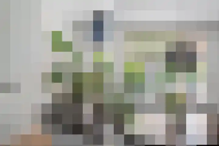 Franklinstraat 23 Utrecht thumbnail 12