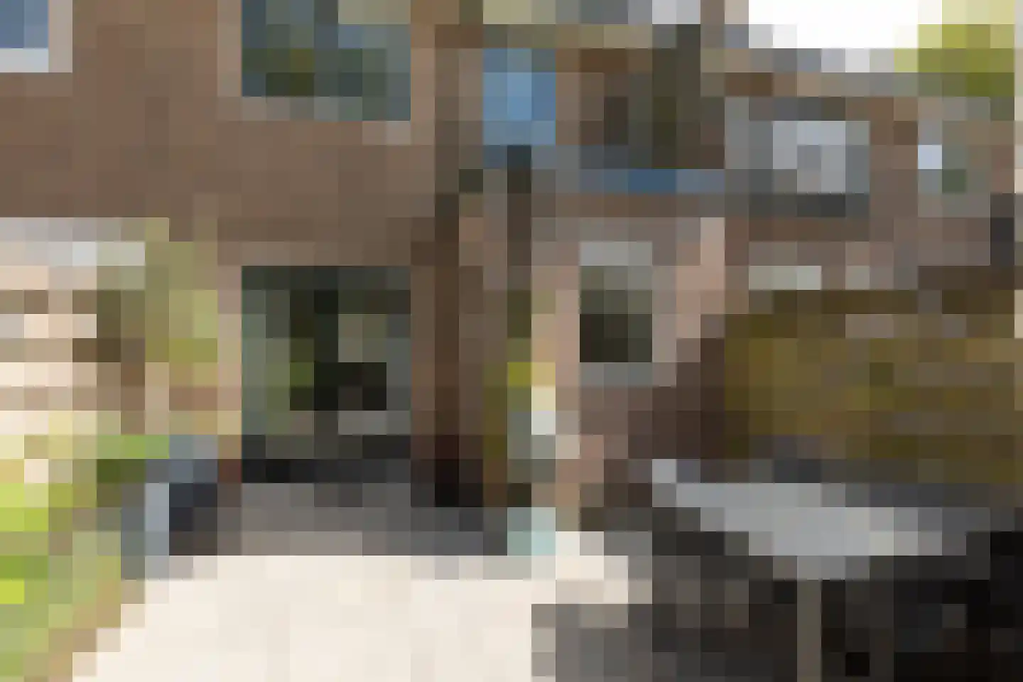 Franklinstraat 24 Hilversum thumbnail 30