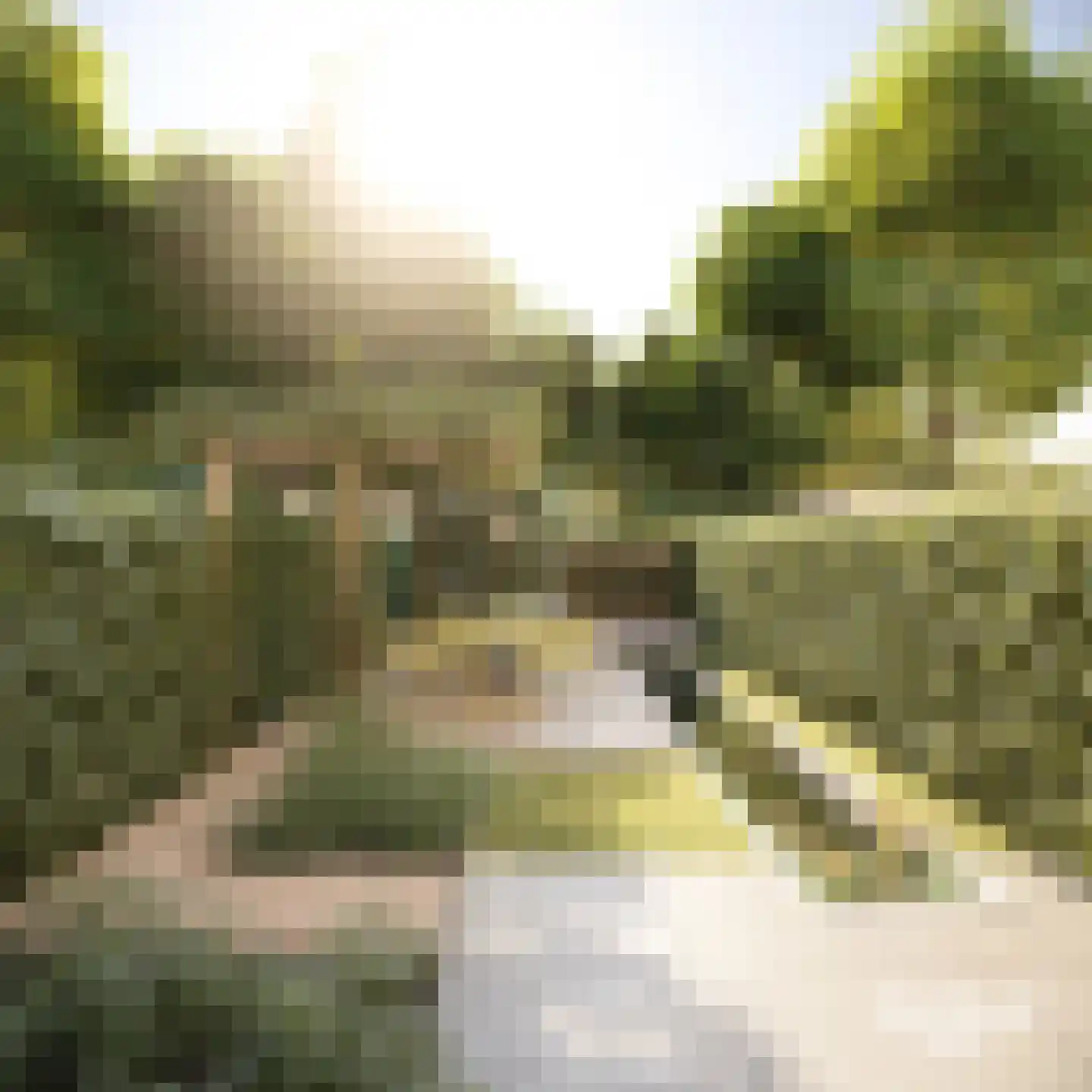 Franklinstraat 36 Enschede thumbnail 8