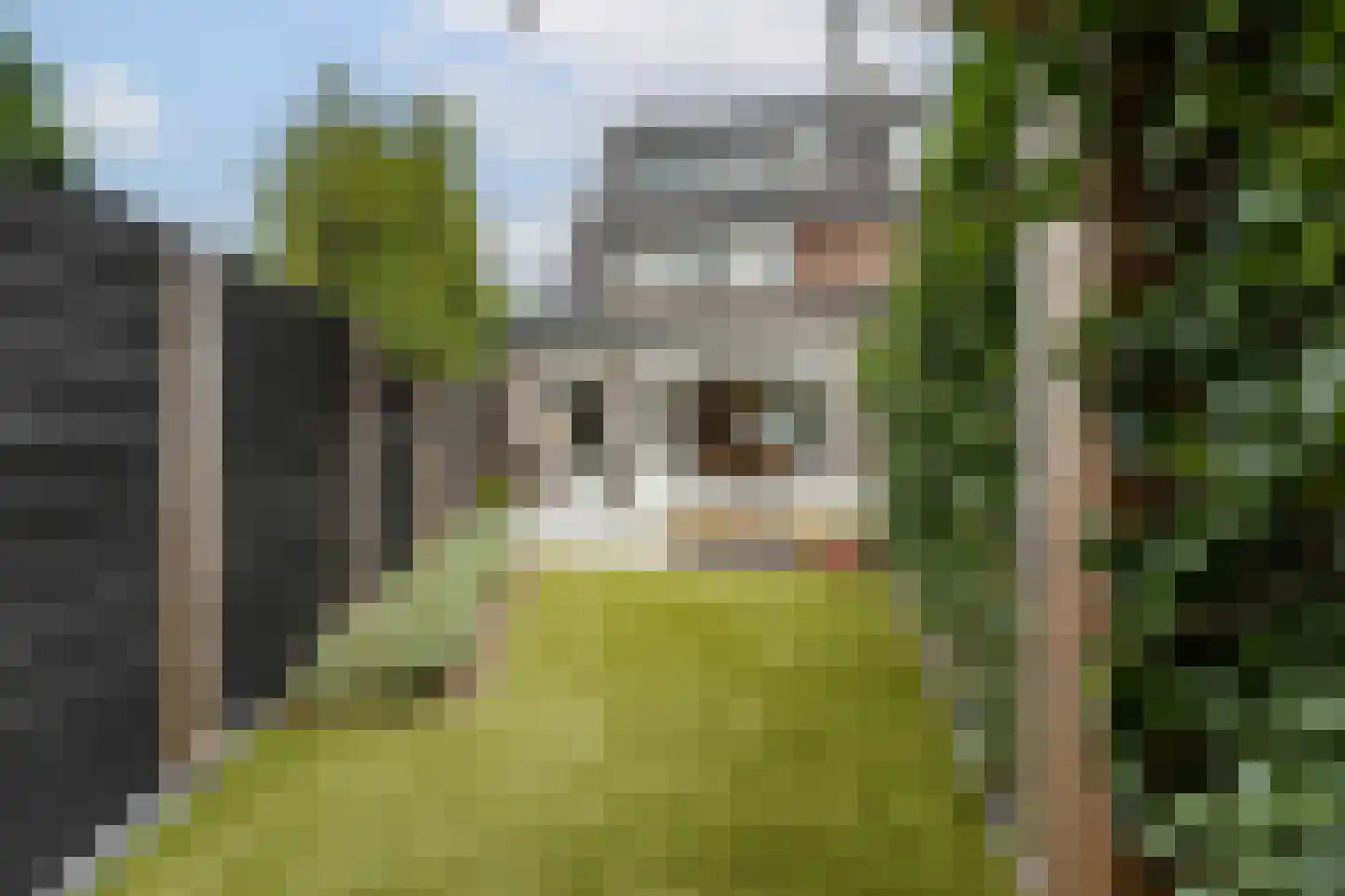 Franklinstraat 38 Amersfoort thumbnail 24