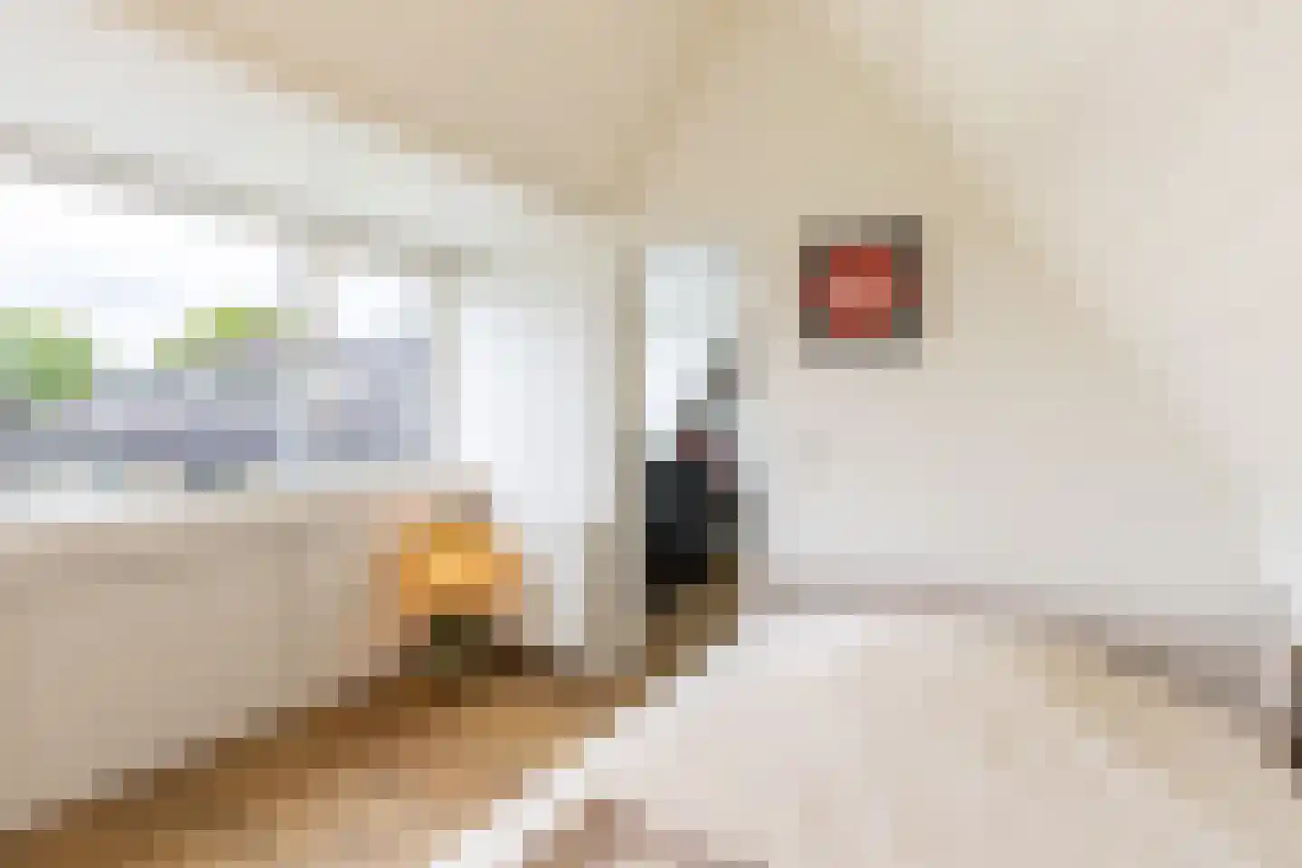 Franklinstraat 38 Amersfoort thumbnail 33