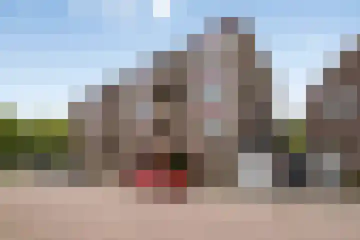 Franklinstraat 54 Wormerveer thumbnail 5