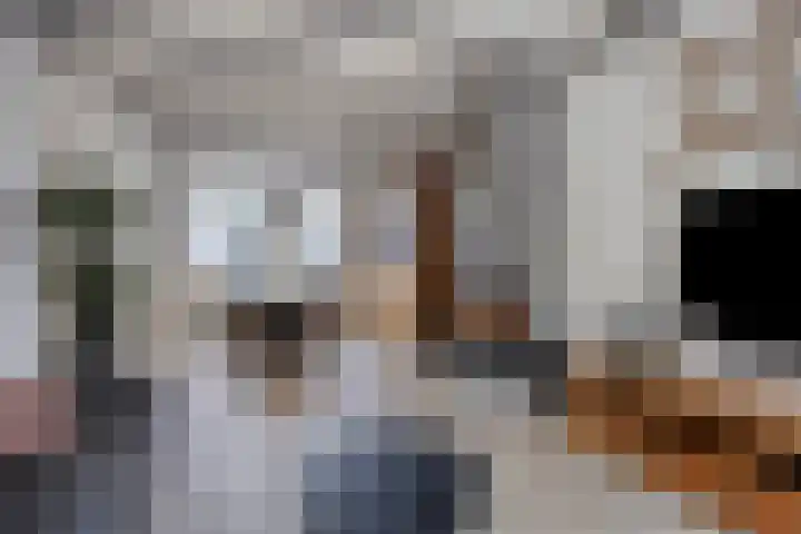 Franklinstraat 6 Wormerveer thumbnail 4