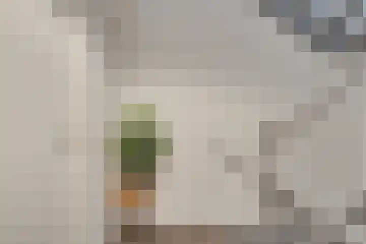 Franklinstraat 6 Wormerveer thumbnail 7