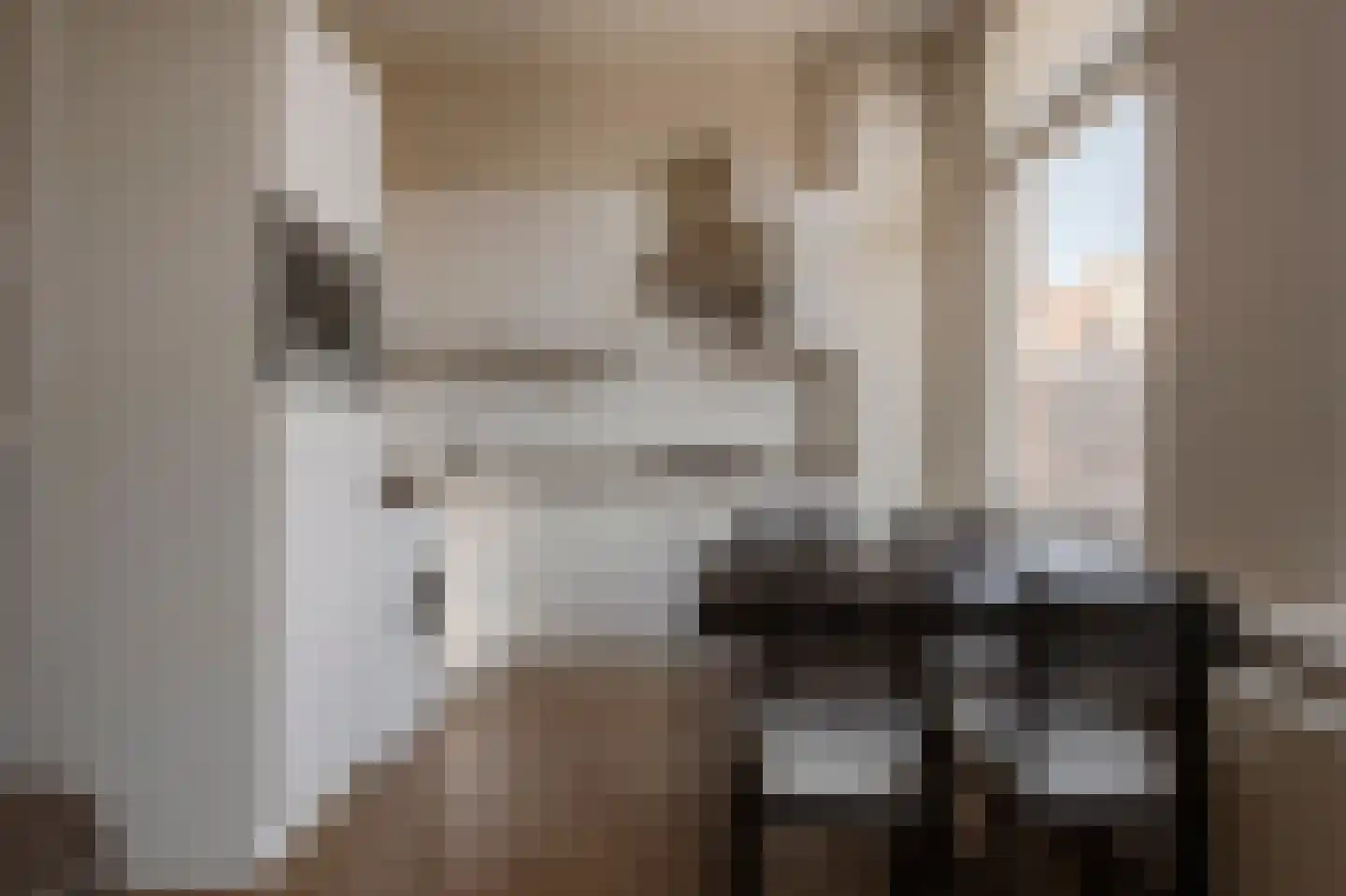 Franklinstraat 84 B Den Haag thumbnail 6