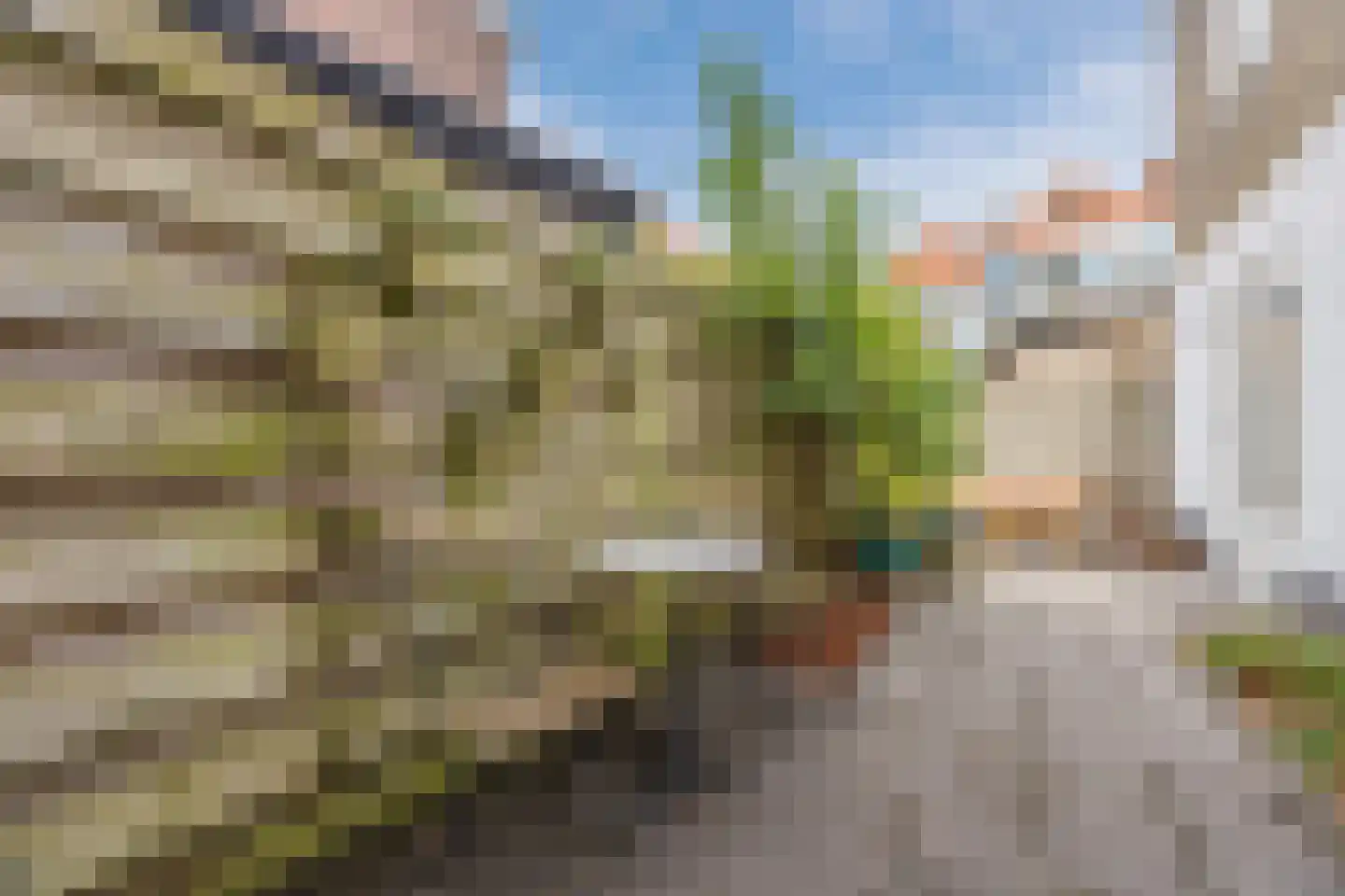 Franklinstraat 87 Den Haag thumbnail 17
