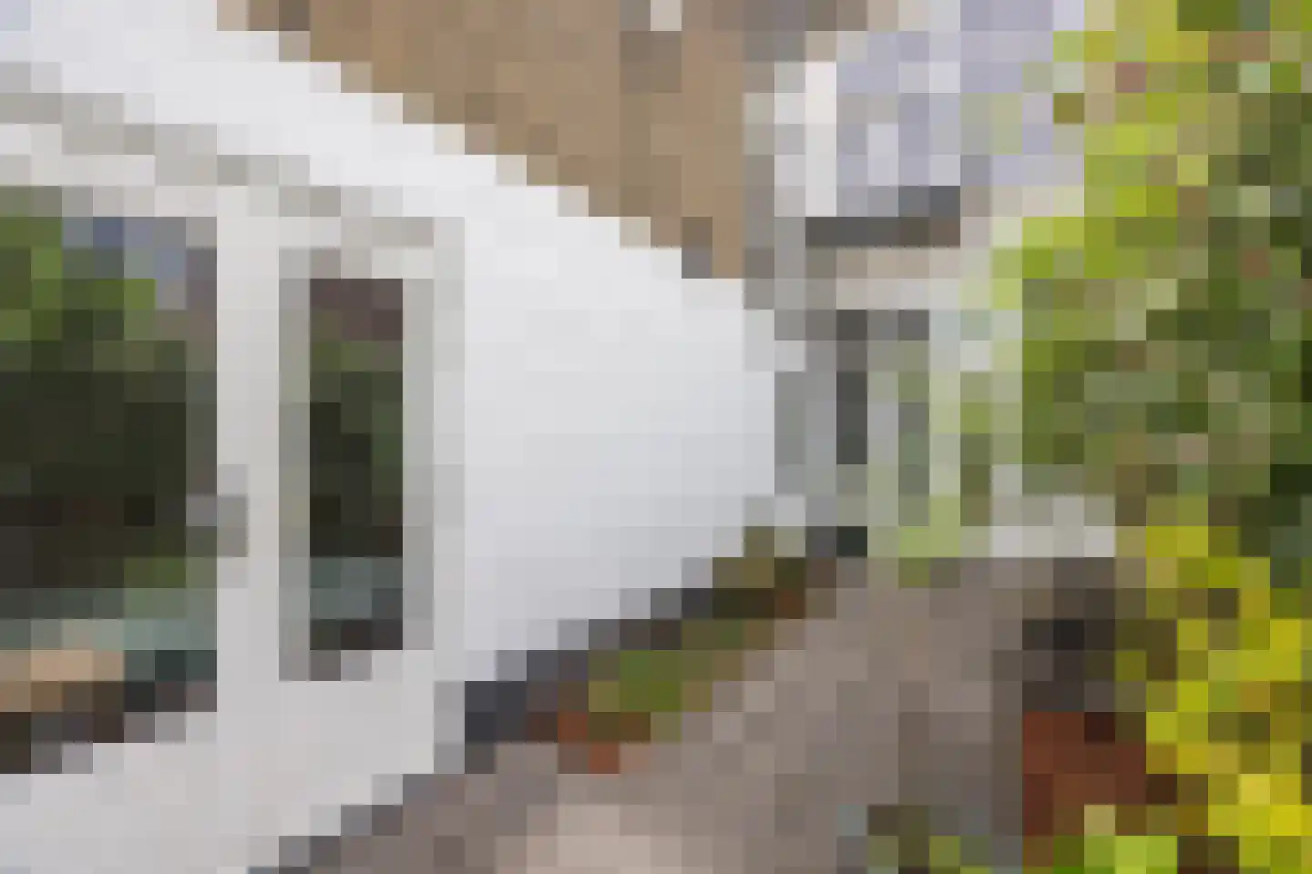 Franklinstraat 87 Den Haag thumbnail 20
