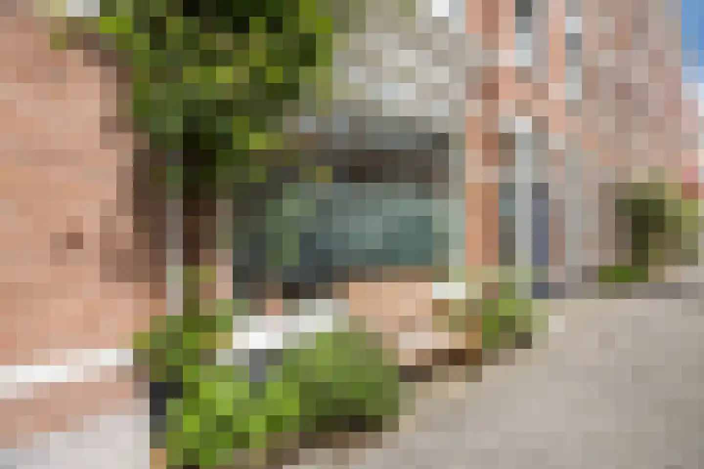 Franklinstraat 87 Den Haag thumbnail 5