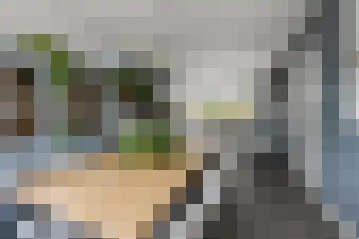 Franklinstraat 9 Wormerveer thumbnail 10