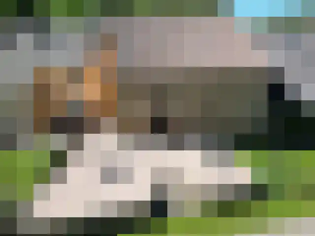 Frankrijk 1 Nijeberkoop thumbnail 33