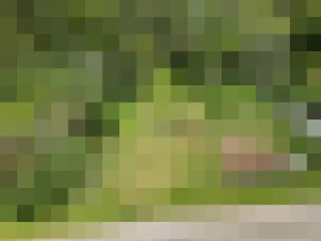 Frankrijk 1 Nijeberkoop thumbnail 34