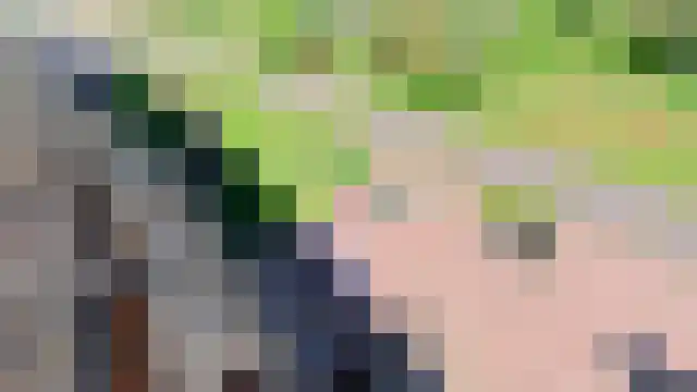Frankrijk 1 Nijeberkoop thumbnail 4