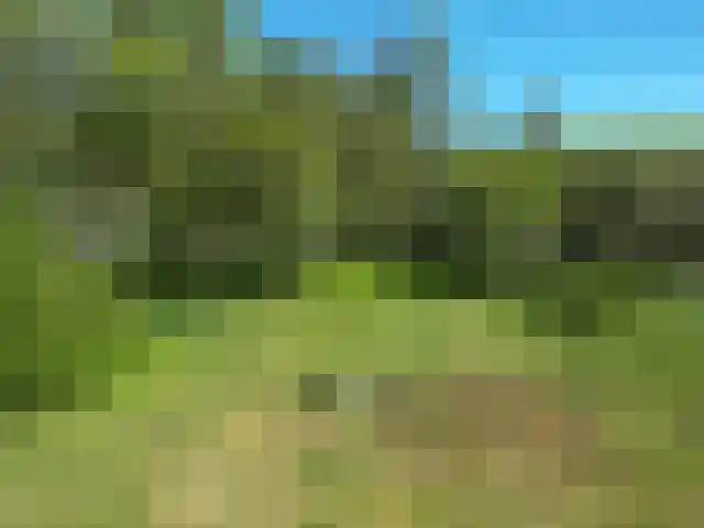 Frankrijk 1 Nijeberkoop thumbnail 7