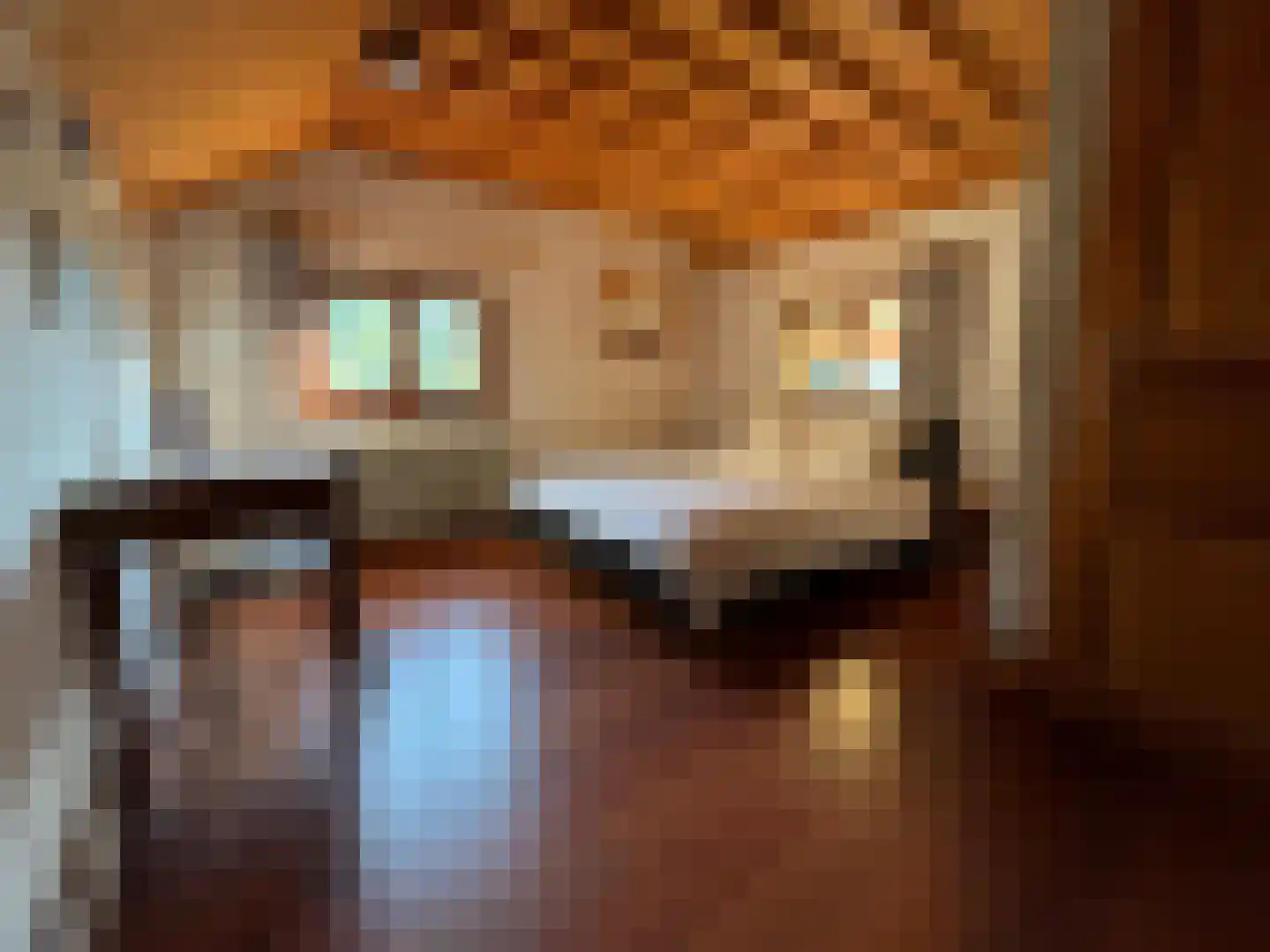 Frankrijk 38880 Autrans Nijeberkoop thumbnail 18