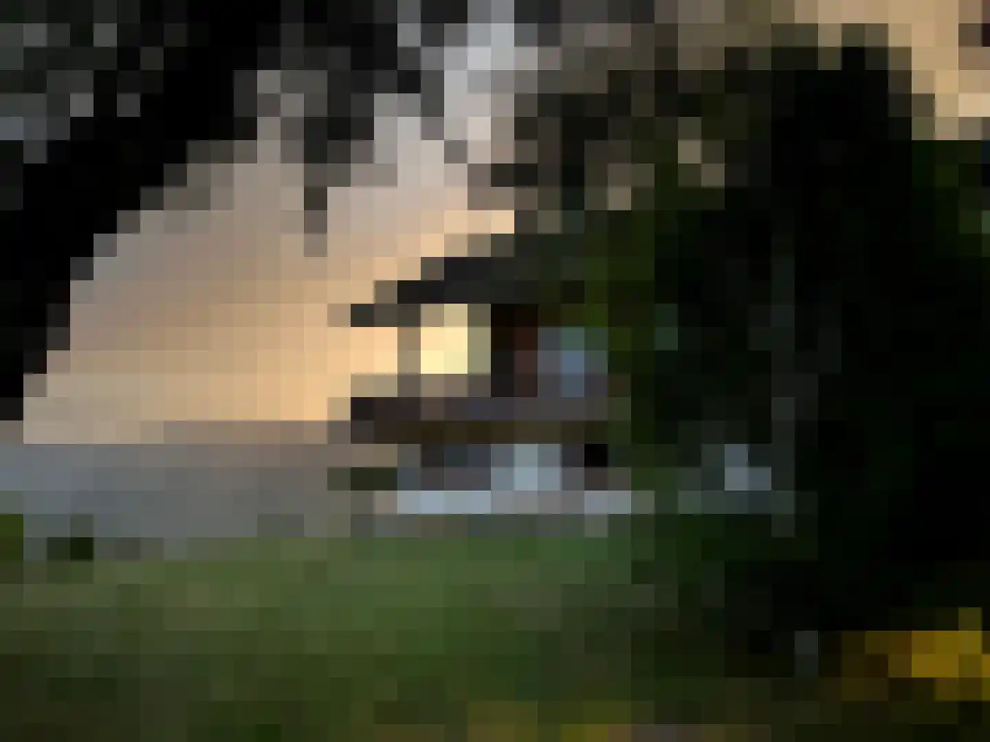 Frankrijk 38880 Autrans Nijeberkoop thumbnail 25