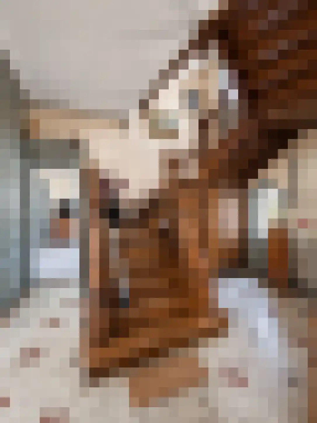 Frankrijk 9 Nijeberkoop thumbnail 7
