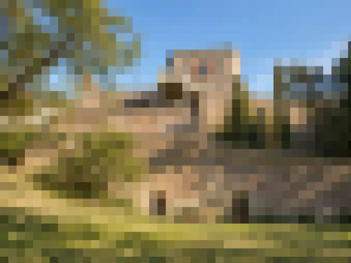 Frankrijk 9 Nijeberkoop thumbnail 9