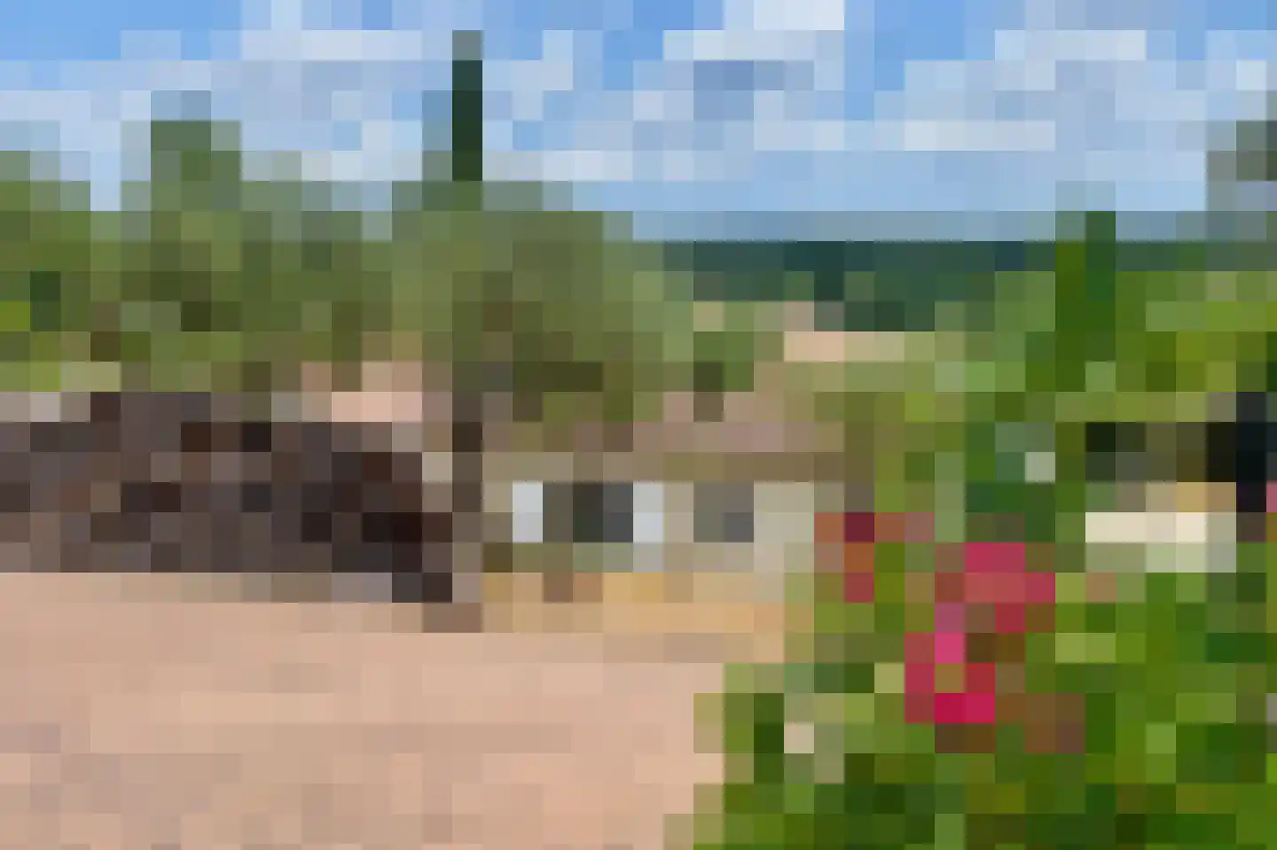 Frankrijk 97 Nijeberkoop thumbnail 16