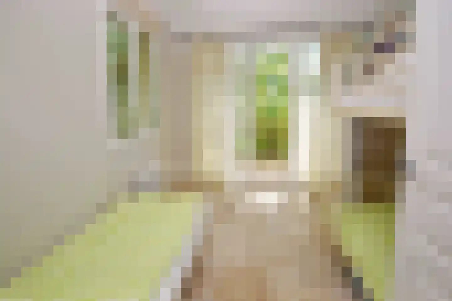 Frankrijk 97 Nijeberkoop thumbnail 21