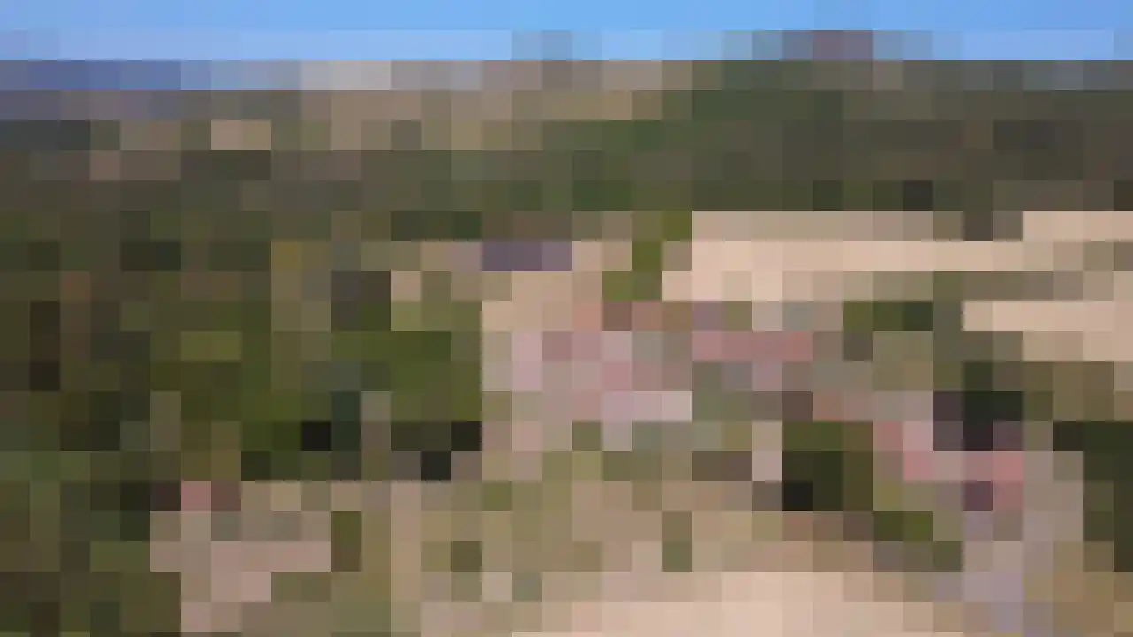 Frankrijk 97 Nijeberkoop thumbnail 26
