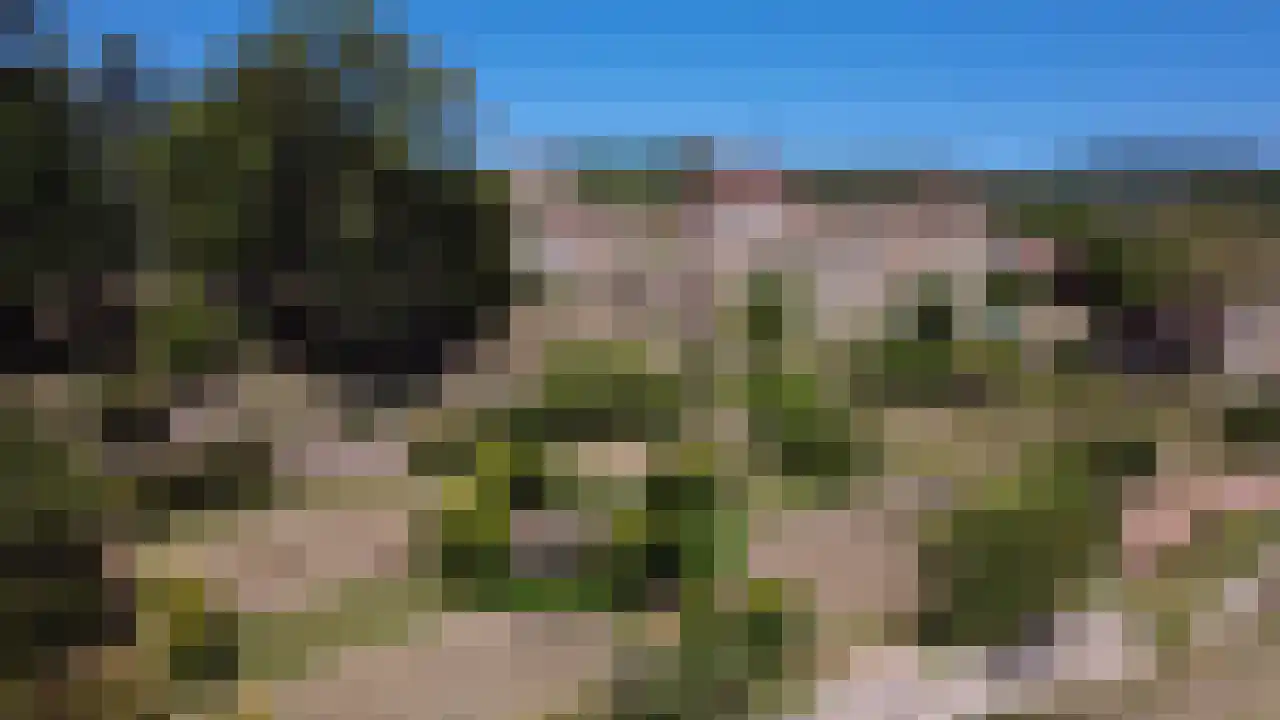 Frankrijk 97 Nijeberkoop thumbnail 27