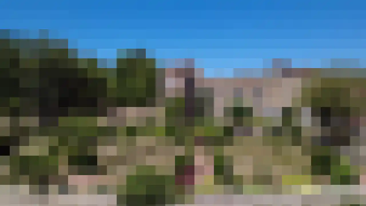 Frankrijk 97 Nijeberkoop thumbnail 28