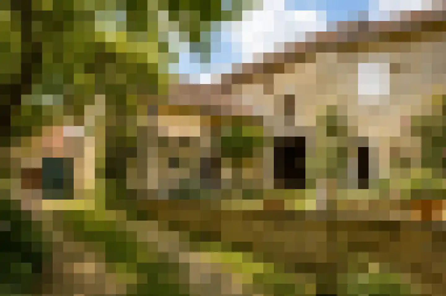 Frankrijk 97 Nijeberkoop thumbnail 6