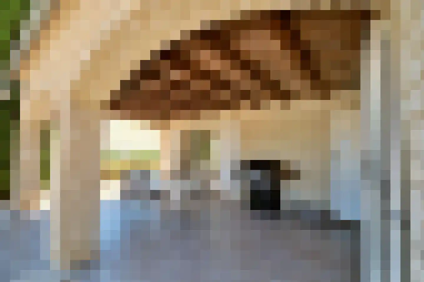 Frankrijk 97 Nijeberkoop thumbnail 7