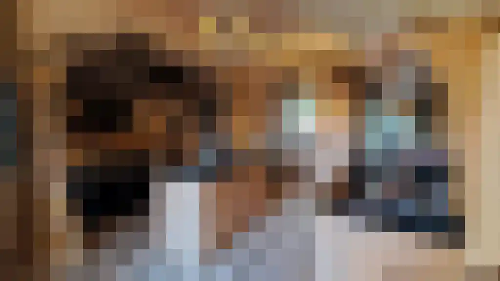 Frankrijk 97 Nijeberkoop thumbnail 7