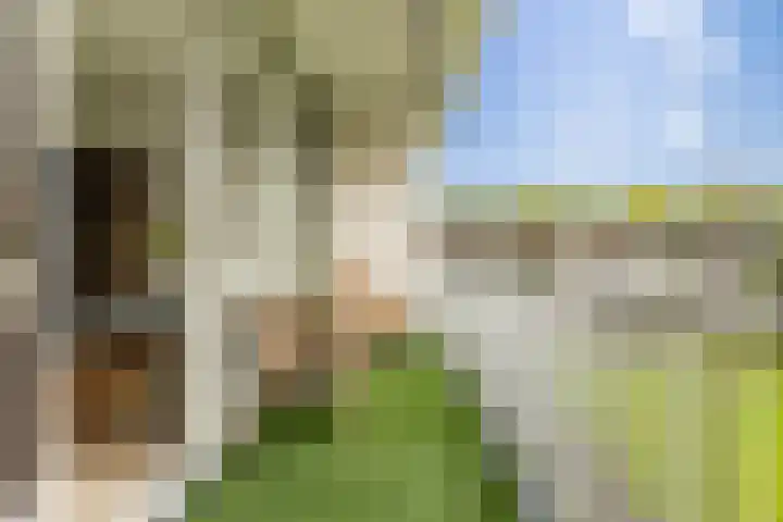 Frankrijkerlaan 2 29 Zuidhorn thumbnail 28