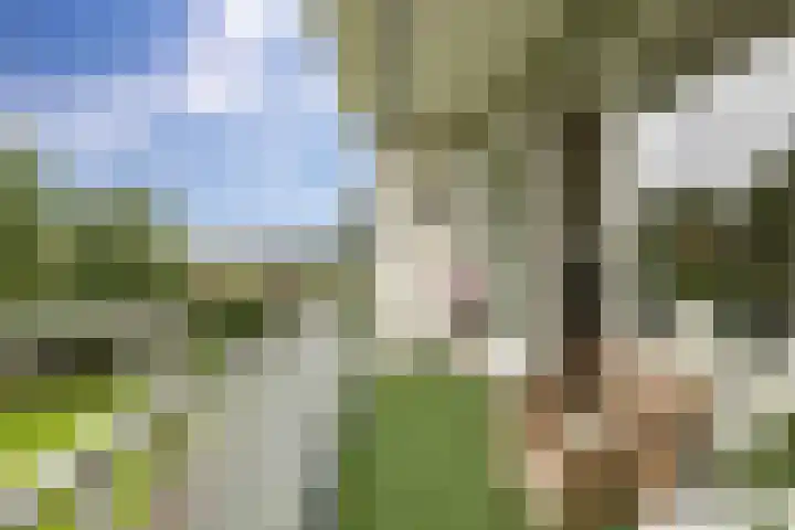 Frankrijkerlaan 2 29 Zuidhorn thumbnail 29