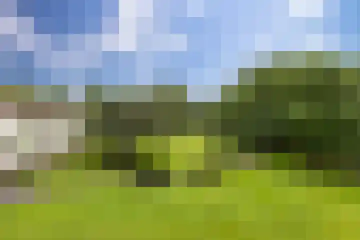 Frankrijkerlaan 2 29 Zuidhorn thumbnail 32