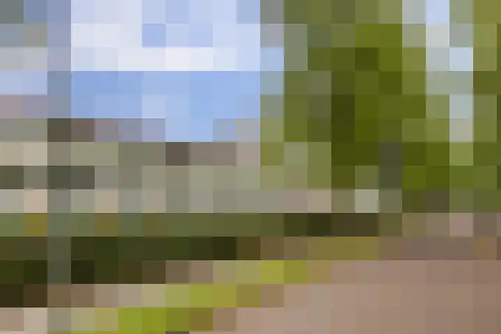 Frankrijkerlaan 2 29 Zuidhorn thumbnail 33