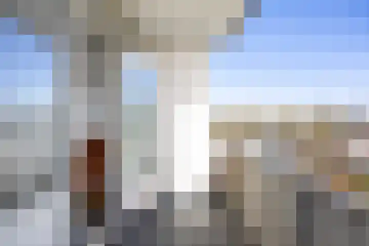 Frankrijkerlaan 2 60 Zuidhorn thumbnail 16
