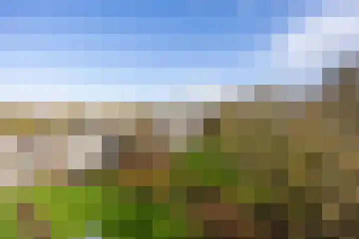 Frankrijkerlaan 2 60 Zuidhorn thumbnail 17